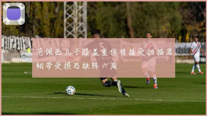 范佩西儿子膝盖重伤将接受扫描若韧带受损恐缺阵六周