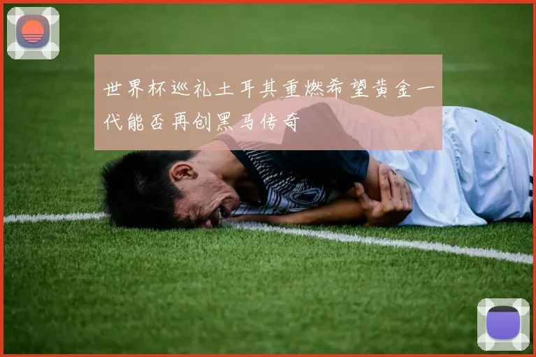 世界杯巡礼土耳其重燃希望黄金一代能否再创黑马传奇